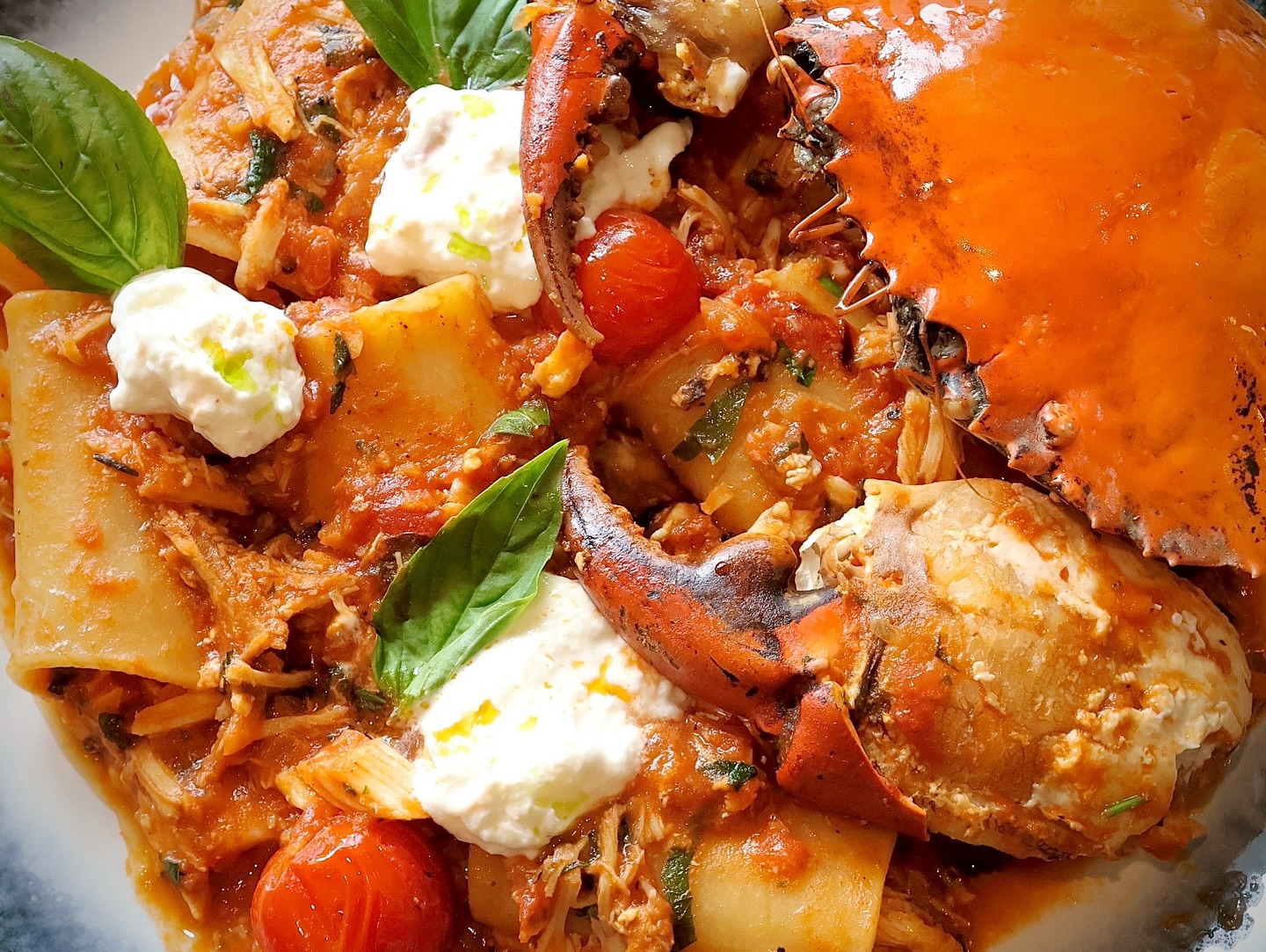 Large paccheri pasta in a rich tomato and crab sauce, topped with a whole cooked crab, dollops of creamy burrata cheese, and fresh basil leaves.